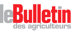 Le Bulletin Logo gris (003)