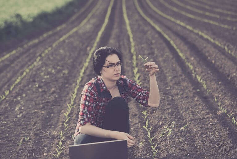 Analyse dans un champ